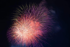 Silvester in Hamburg mit Polizeieinsätzen und stark beanspruchten Rettungskräften.